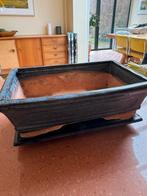 Bonsaischaal met Schotel, Tuin en Terras, Bloempotten, Ophalen of Verzenden, Terracotta, Rechthoekig, Binnen