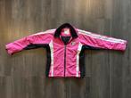 Falcon ski jas - Maat: XS, Kleding | Dames, Wintersportkleding, Falcon, Ophalen of Verzenden, Jack, Maat 34 (XS) of kleiner