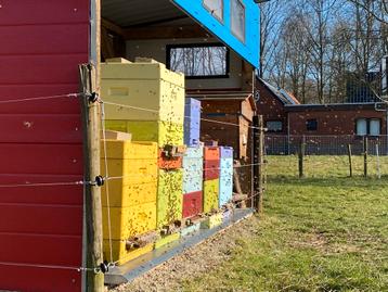 Honing, bloemenhoning, raathoning van eigen imkerij beschikbaar voor biedingen