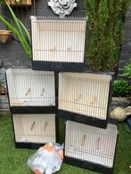 5 tentoonstelling kooitjes, Ophalen, Hout, Vogelkooi