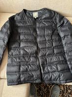 Kocca tussenjas, dons zwart afgezet met biesjes, maat L, Ophalen of Verzenden, Zo goed als nieuw, Maat 42/44 (L), Zwart