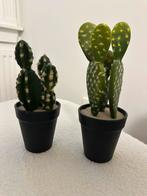 2 x kunst cactus, Ophalen