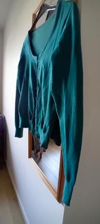 3 Vesten Maat 40 - Samen Voordelig!, Ophalen of Verzenden, Gedragen, Maat 38/40 (M), Groen