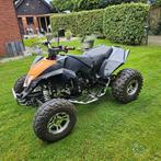 quad, Motoren, 300 cc, 1 cilinder, 12 t/m 35 kW