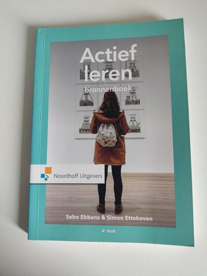 Sebo Ebbens - actief leren, Bronnenboek, Boeken, Wetenschap, Zo goed als nieuw, Sociale wetenschap, Ophalen of Verzenden