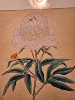 Japanse pioenroos jamatosaga rond 1900, Antiek en Kunst, Kunst | Schilderijen | Modern, Ophalen of Verzenden