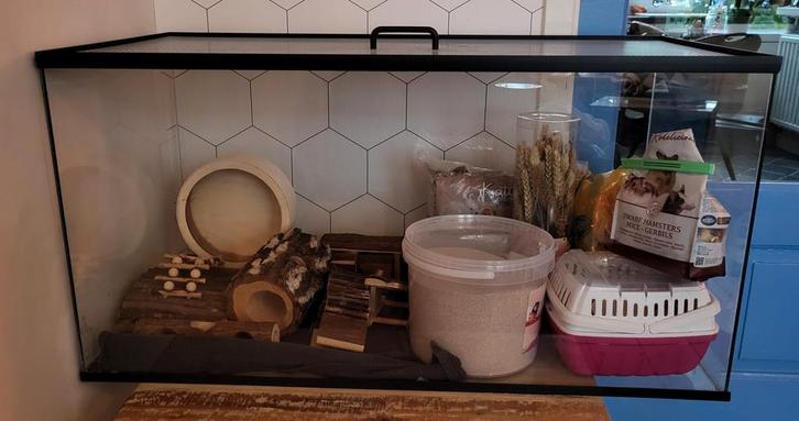 Hamster/knaagdieren terrarium B90xD45xH46,5, Dieren en Toebehoren, Knaagdieren en Konijnen | Hokken en Kooien, Gebruikt, Kooi