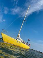 Mooie en snelle Pion met nieuwe North Sails zeilen !!, Ophalen, Gebruikt, Diesel, Tour-wedstrijdjacht
