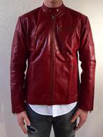 Rode leren jassen biker jacks heren in maat L rood, Ophalen of Verzenden, Nieuw, Rood