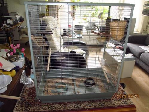 vogelkooi Zolux neolife groen 81x48x152cm met 2 zebravinken, Dieren en Toebehoren, Vogels | Hokken en Kooien, Nieuw, Vogelkooi