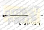 Nissan X-Trail (6/07-7/14) Gasveer achterklep Links OES! 904