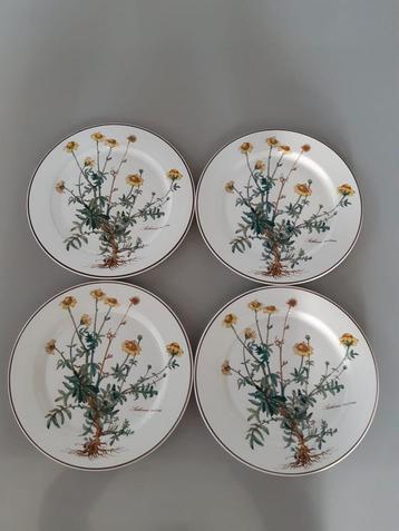 Dinerborden 24 cm Villeroy en Boch Botanica beschikbaar voor biedingen