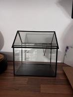 Mini kas voor plantjes, Ophalen, Zo goed als nieuw, Kweekbak
