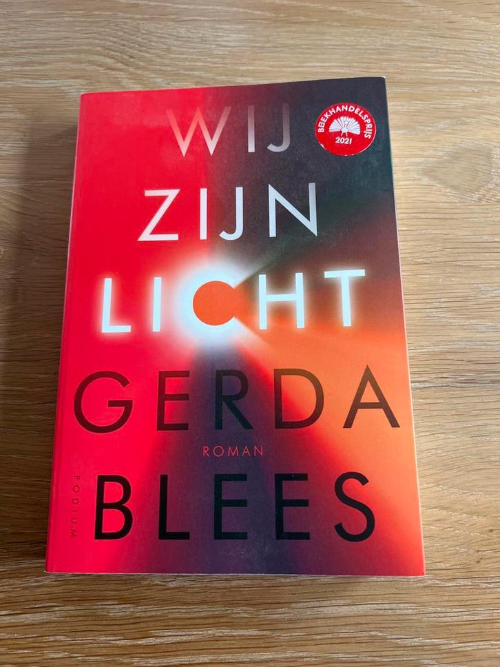 Wij Zijn Licht - Gerda Blees (Roman), Boeken, Romans, Zo goed als nieuw, Nederland, Ophalen of Verzenden