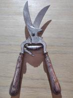 T15 Zilver Wildtang Snoeitang Haas, Ophalen of Verzenden, Zilver