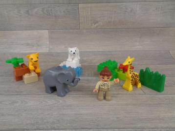 duplo dierentuin dieren en verzorgster beschikbaar voor biedingen