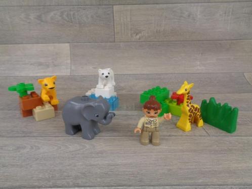 duplo dierentuin dieren en verzorgster, Kinderen en Baby's, Speelgoed | Duplo en Lego, Gebruikt, Duplo, Ophalen of Verzenden