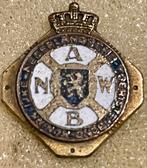 Zeldzaam ANWB Speldje - Uniek Exemplaar!, Verzamelen, Speldjes, Pins en Buttons, Ophalen of Verzenden, Gebruikt, Merk, Speldje of Pin