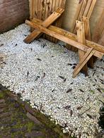 Gratis Grind wit - Ophalen!, Tuin en Terras, Grind, Keien en Split, Ophalen, Overige materialen, Gebruikt, Wit