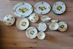 Villeroy & Boch Jamaica Servies Compleet, Antiek en Kunst, Ophalen