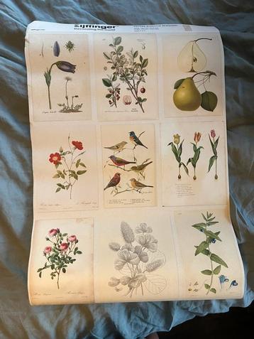 Eijffinger behang 341086 botanical wallpaper beschikbaar voor biedingen