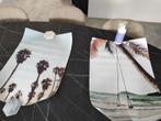 2 zomer palmbomen strand zee Posters schilderijen foto 50x70, Foto of Poster, Ophalen of Verzenden, Zo goed als nieuw, 50 tot 75 cm