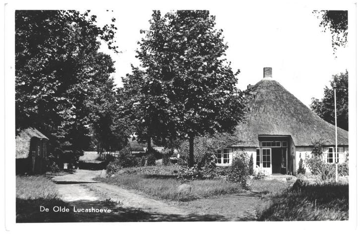 959210 Lemele OV 1970 De Olde Lucashoeve Nette oude kaart On, Verzamelen, Ansichtkaarten | Nederland, Ongelopen, Overijssel, 1960 tot 1980