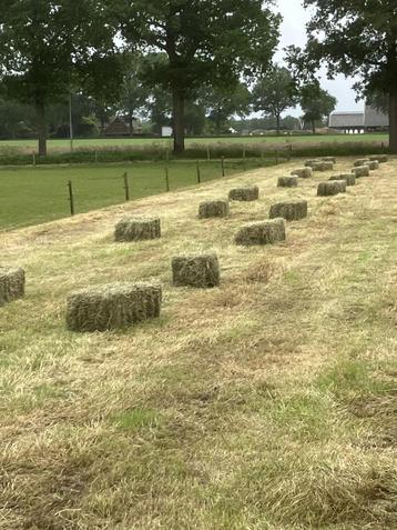 hooi beschikbaar voor biedingen
