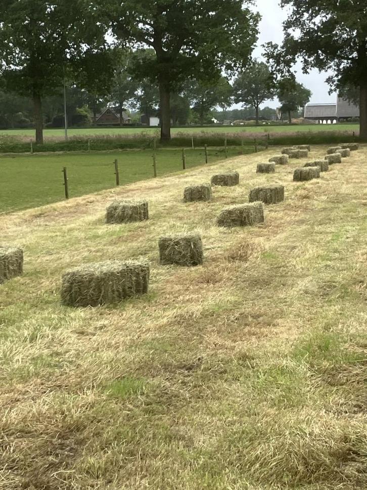 hooi, Dieren en Toebehoren, Dierenvoeding, Vee, Ophalen