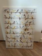 Pjätteryd lijst 50x70 inclusief knijpers, Ophalen, Gebruikt