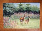 Ansichtkaart Deer Rob Hessels 7775, Ophalen of Verzenden