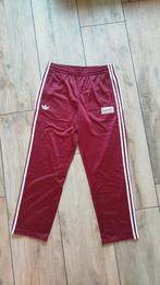 Adidas Oasis Live '25 trainingsbroek maat L., Ophalen of Verzenden, Nieuw, Rood, Algemeen
