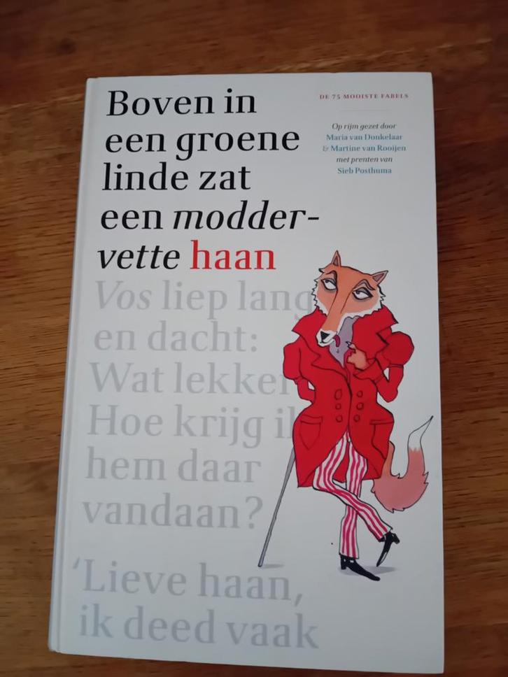 Boven in de groene linde zat een moddervette haan, Boeken, Kinderboeken | Jeugd | onder 10 jaar, Zo goed als nieuw, Fictie algemeen