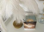 Parfum Ellie Saab  Girl of Now 90 ml origineel, Ophalen of Verzenden, Nieuw