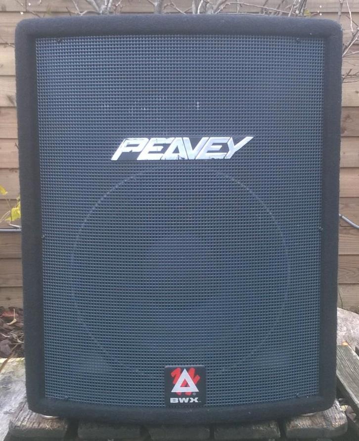 Luidsprekers Peavey Hysis 1RX 500 Watt, 2 stuks, Audio, Tv en Foto, Luidsprekers, Zo goed als nieuw, Overige typen, 120 watt of meer