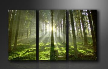 3 Luik van Canvas Schilderij * Green Forest 90x160cm Nieuw beschikbaar voor biedingen