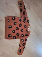 Trui Hema maat 92, Ophalen of Verzenden, Zo goed als nieuw, Hema, Jongen of Meisje