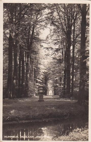 Fotokart Hummelo Moslaan Enghuizen beschikbaar voor biedingen