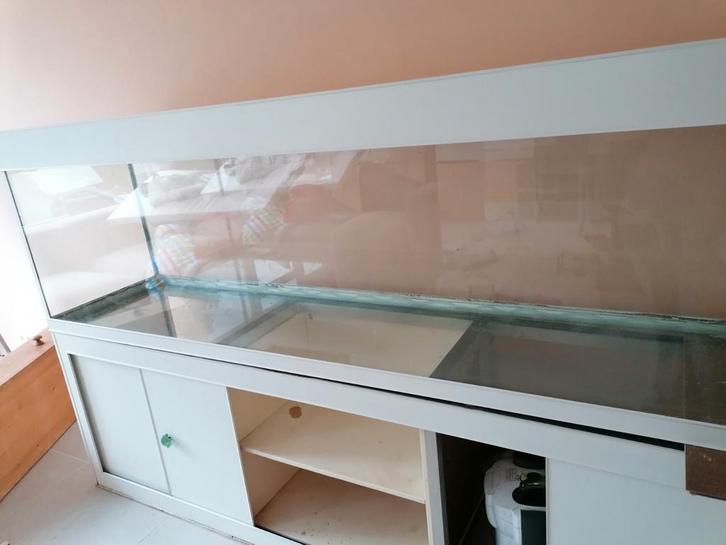 Terrarium/knaagdieren verblijf-SPOED! wie redt hem vd stort!, Dieren en Toebehoren, Knaagdieren en Konijnen | Hokken en Kooien