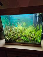 Juwel 120, Dieren en Toebehoren, Ophalen, Gebruikt, Gevuld zoetwateraquarium