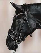 Prachtig trenshoofdstel van BRISQUE bridlewear, mt FULL, Dieren en Toebehoren, Paarden en Pony's | Hoofdstellen en Tuigage, Ophalen of Verzenden