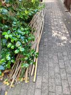 bamboestokken gratis af te halen, Overige typen, 250 cm of meer, Gebruikt, Ophalen