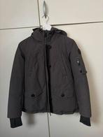 Airforce Dames Winterjas Donkergrijs Maat S, Ophalen of Verzenden, Zo goed als nieuw, Maat 36 (S), Grijs