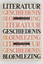 Literatuur geschiedenis en bloemlezing - H. Lodewick (1960), Boeken, Zo goed als nieuw, Nederland, Verzenden