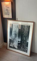 Groot schilderij (foto) in opdracht gemaakt bomen zwartwit, Ophalen of Verzenden, Zo goed als nieuw, Schilderij, 75 cm of meer