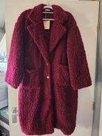 Nieuwe teddy jas bordeaux 42 44 46, Kleding | Dames, Jassen | Winter, Ophalen of Verzenden, Nieuw, Maat 42/44 (L), Rood