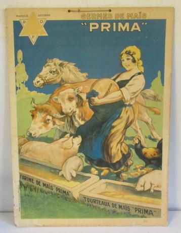 oude slagerij reclame varkens Germes de mais Prima beschikbaar voor biedingen