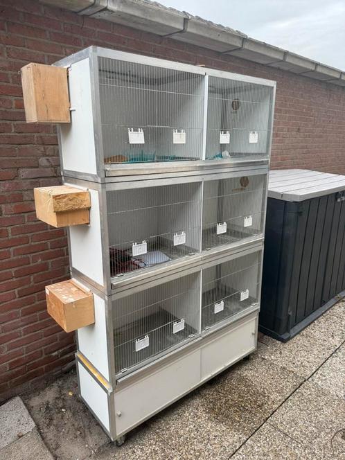 Kweekkooi vogels met automatisch verlichting, Dieren en Toebehoren, Vogels | Hokken en Kooien, Zo goed als nieuw, Broedkooi of Kweekkooi