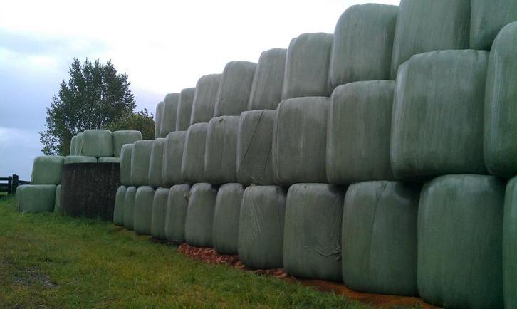 Midi ronde balen hooi voordroog paarden kuil, Dieren en Toebehoren, Dierenvoeding, Vee, Ophalen of Verzenden