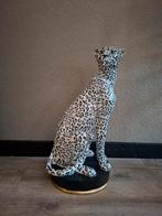 Cheeta Beeld - Polyresin - 54cm, Ophalen, Zo goed als nieuw